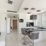 Luxury Apartment