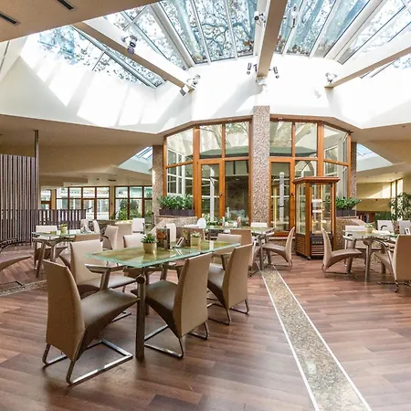Luxury Apartment